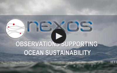 An overview of the NeXOS Project